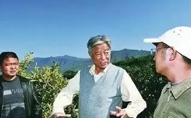 红塔山香烟多少钱一条_红塔山牌香烟多少钱一盒_红塔山香烟