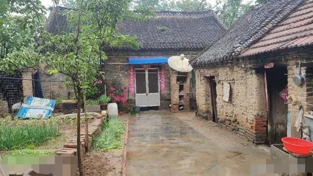 香烟希尔顿哪里有卖_香烟希尔顿试驾多少钱一盒_希尔顿香烟