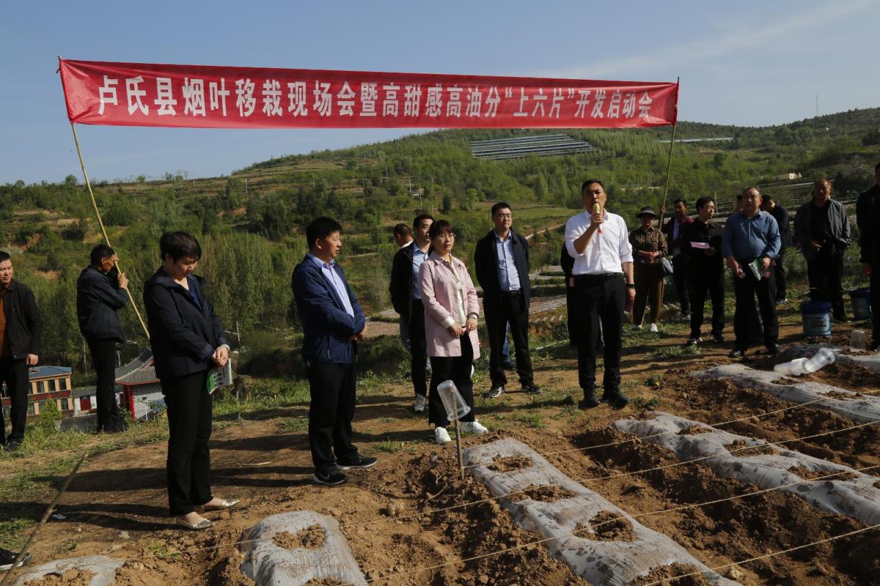 壹枝笔香烟多少钱一包_壹枝笔香烟华贵多少钱_壹枝笔香烟