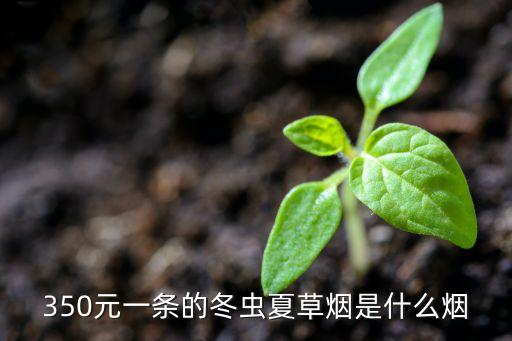350元一条的冬虫夏草烟是什么烟