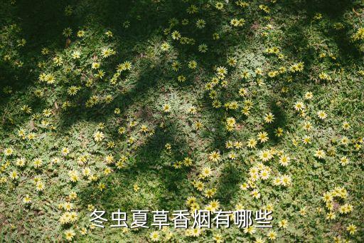 冬虫夏草香烟有哪些