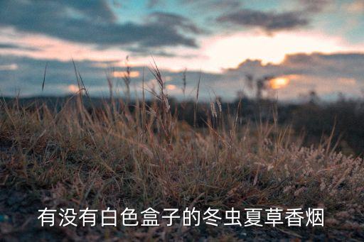 有没有白色盒子的冬虫夏草香烟