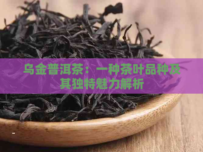 天子香烟_天子香烟好抽吗_天子香烟是哪里产的
