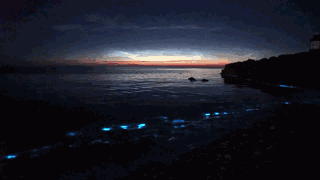 三宝麟丁香烟_三宝麟香烟_三宝麟集团