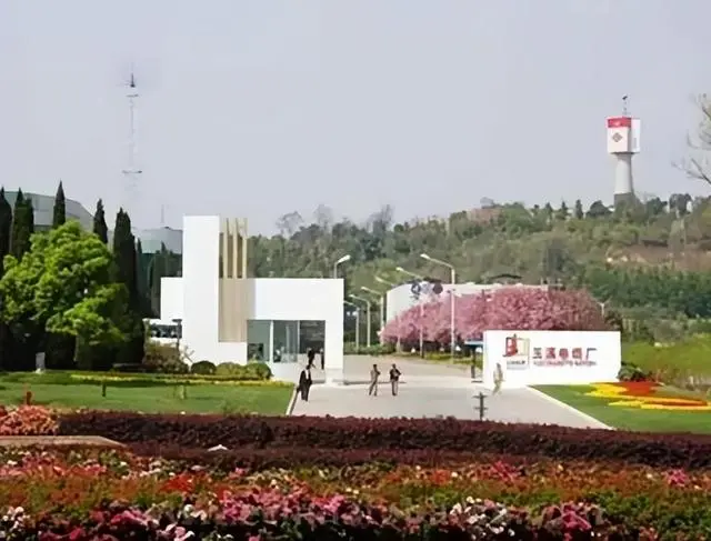 香烟芙蓉王香烟_香烟回收_香烟