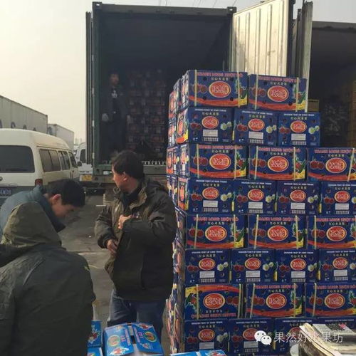 时事速览!天津哪卖外烟、天津市外烟批发市场？“第26955期” - 4 - AH香烟货源网
