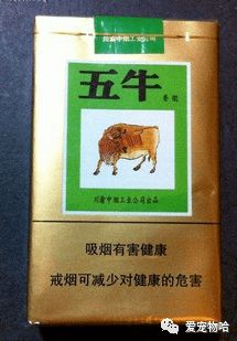 揭秘！椰树硬绿香烟的批发奥秘 - 3 - AH香烟货源网