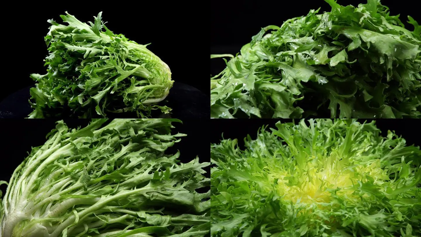 一枝花_花朵简笔画_花开如梦电视剧全集在线播放