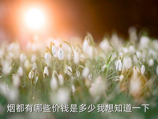 香烟价格大揭秘：一般香烟多少钱一包？多种品牌价格一览