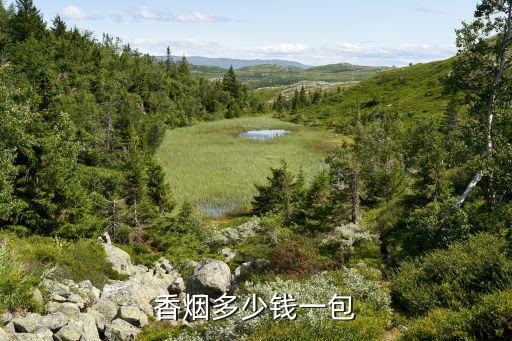 香烟多少钱一包