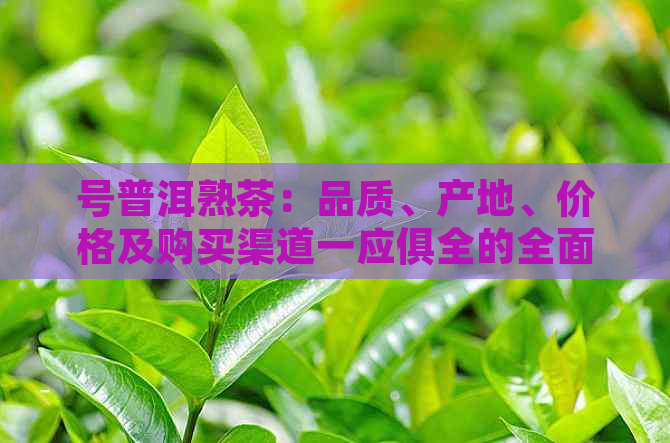 香烟红山茶多少钱_红山茶香烟2019价格_红山茶香烟