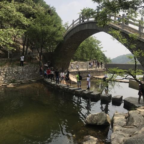 林海灵芝印象香烟进货之道：合法合规、质量保障、价格合理、库存管理、运输安全