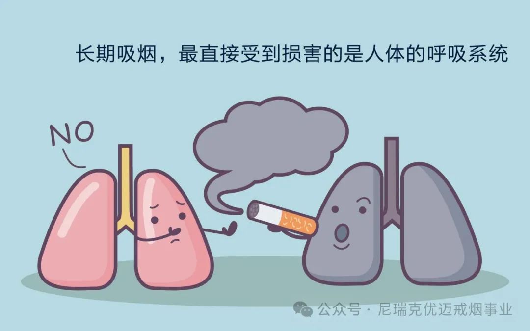 香烟_香烟芙蓉王香烟_一支香烟还是一根香烟