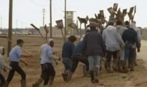 香烟_香烟椰树香烟特醇_香烟登喜路香烟蓝