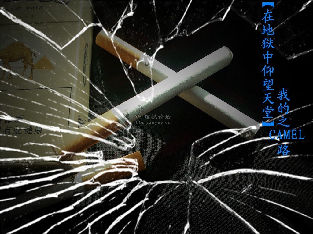 CAMEL 香烟：传奇品牌，青春记忆，口感浓厚，带来快乐