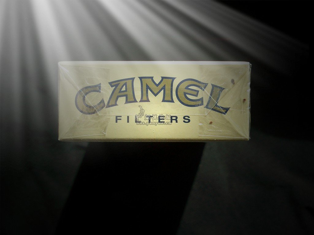 CAMEL香烟_香烟不开封能放多久_香烟价格一览表