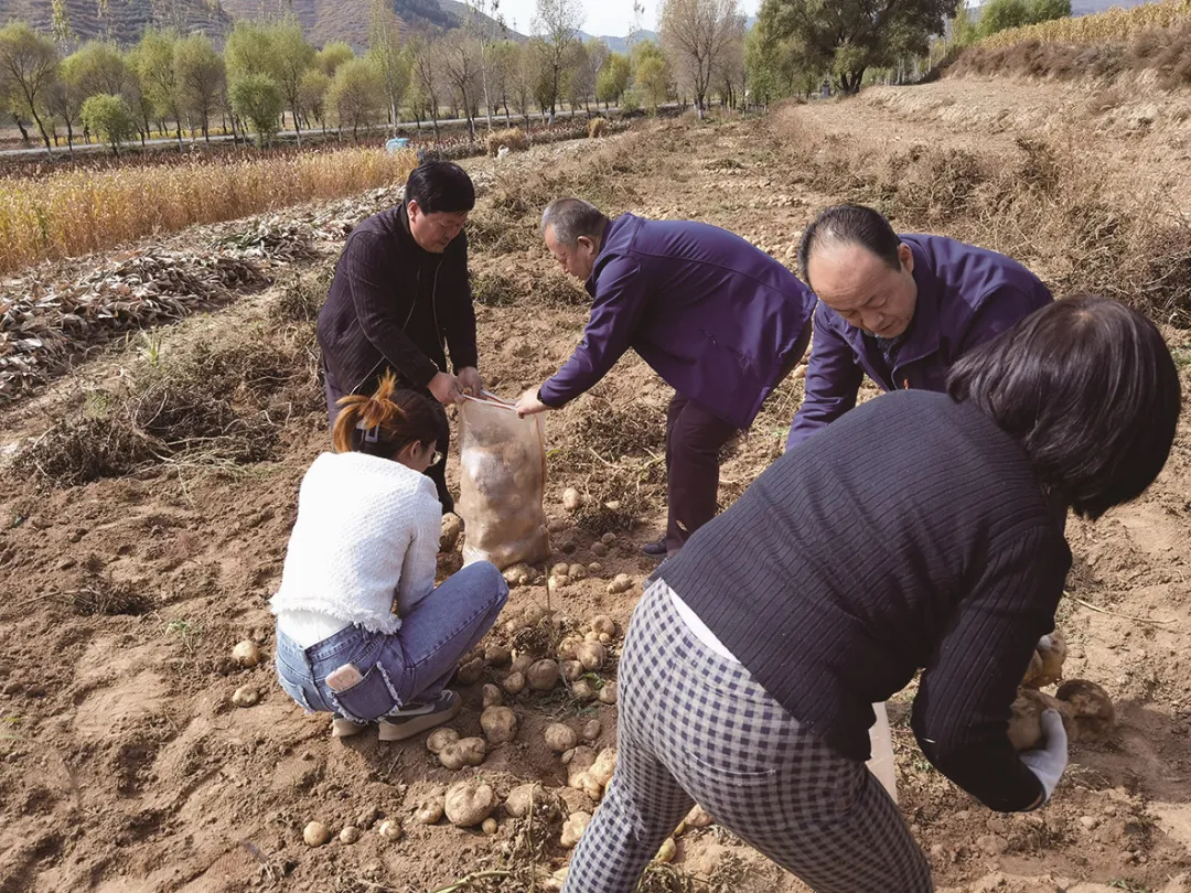 免税正品烟代购网_正品代购免税烟网是正品吗_免税烟代购网价格