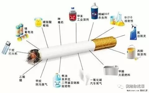 快评聚焦！外国烟代购渠道“鹏程万里” - 2 - AH香烟货源网