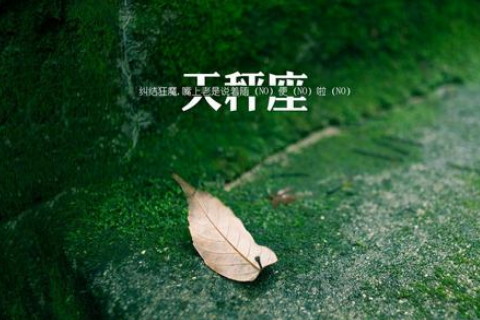 五叶神香烟_香烟五叶神图片_香烟五叶神多少钱一包