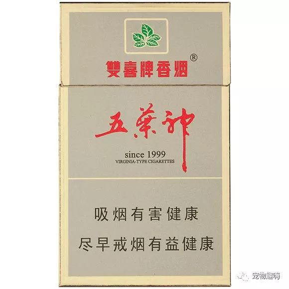五叶神香烟_香烟五叶神图片_香烟五叶神多少钱一包