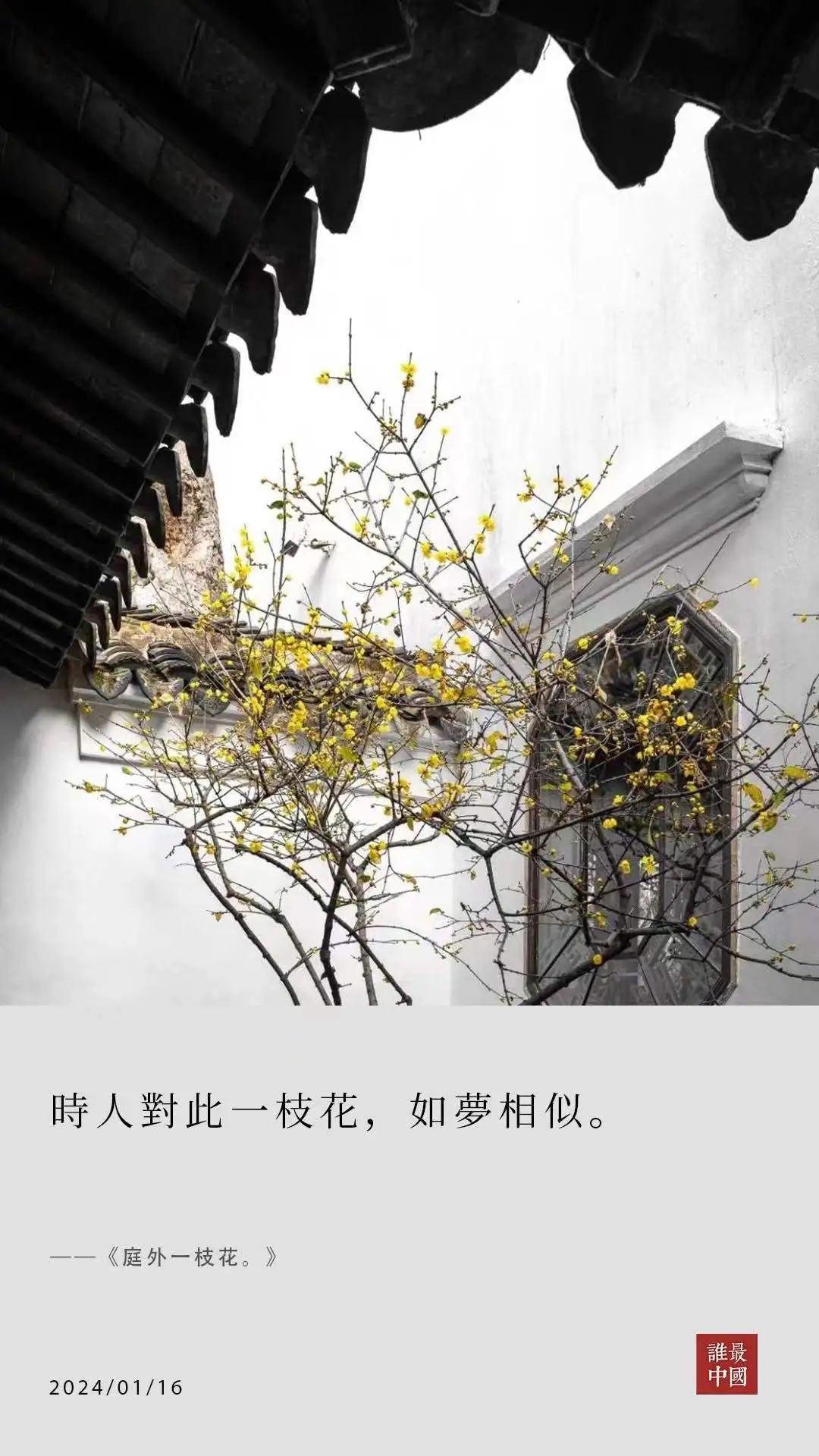 花的学校_一枝花_花开了花谢了