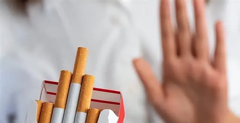 香烟_香烟包装盒批发_香烟烟管生产机器