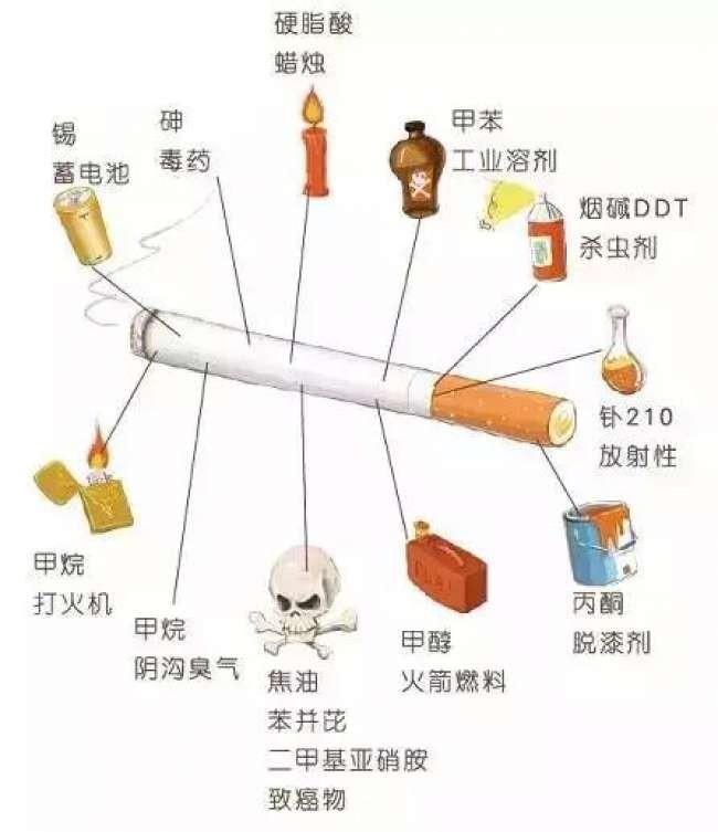 香烟包装机_香烟_香烟英文