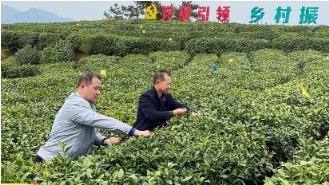 云霄香烟_香烟云霄和越南代工哪个好抽_香烟云霄货和船货什么区别