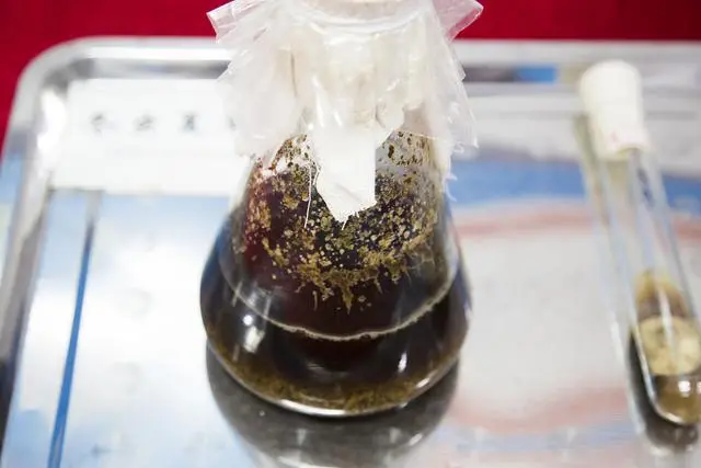 冬虫夏草香烟为何如此昂贵？原因涉及原材料、制作工艺与市场需求等多方面